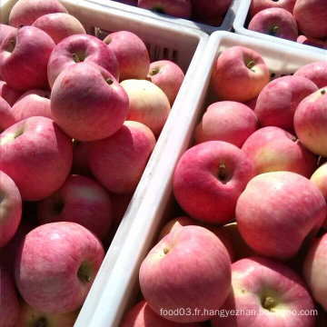 Red Star Apple, Sweet and Crisp